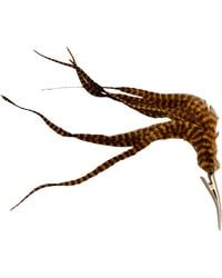 Romer Millinery - Neutrals Feather Clip For Hair, Hats, Turbans, & Lapel & Rust - Lyst