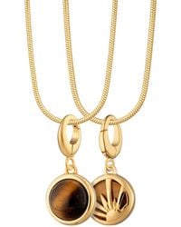 Lily Charmed - Plated Tigers Eye Healing Stone Necklace With Round Snake Chain - Lyst
