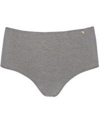 Zd - Zero Defects - Atenea High-Waist Brief – Stylisht Fit & Comfort With Soy Fiber - Lyst
