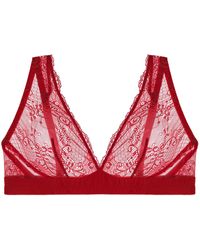 Journelle - Sapna Plunge Bralette Claret - Lyst