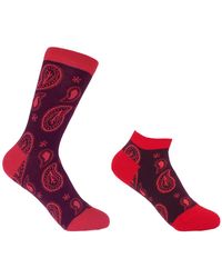 Peper Harow - Made in England - Paisley Burgundy Luxury Crew & Trainer Socks Bundle - Lyst