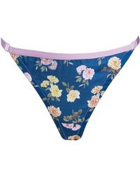 Noblesse Oblige - Baby Rose Liberty Thong - Lyst