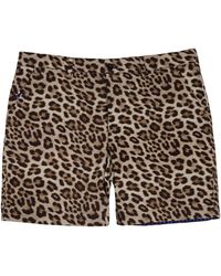 lords of harlech - Edward Leopard Flat Front Short - Lyst