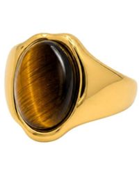 Uchi and Soto - Nekomeishi Tigers Eye Ring - Lyst