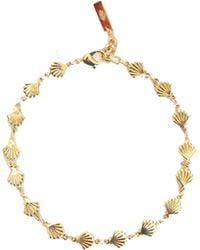Adriana Pappas Designs - Golden Shells Anklet - Lyst