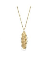 Lexi Jewelry - Golden Palmera Long Necklace - Lyst