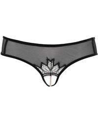 Bracli - Kyoto Brief - Lyst