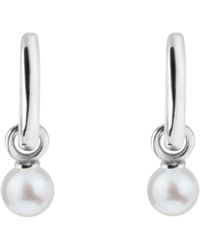 Ora Pearls - Aetia Pearl Hoop Earring - Lyst
