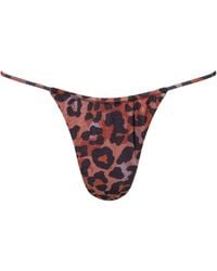 Playaluxe - Capri Ruched String Bikini Bottom Leopard - Lyst