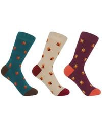 Peper Harow - Made in England - Maple Leaves Socks Bundle - Lyst