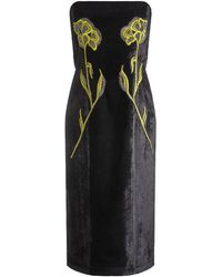 Hope & Ivy - The Cami Embroidered Velvet Sleeveless Midi Pencil Dress - Lyst