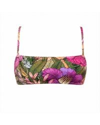 Plivati - Belle Bralette Bikini Top - Lyst