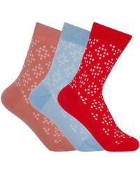 Peper Harow - Made in England - Soho Socks Bundle - Lyst