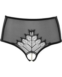 Bracli - Kyoto High Waist Brief - Lyst