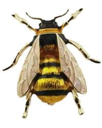 Chanel Joan Elkayam - Neutrals Enamelled Bee Brooch - Lyst