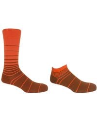 Peper Harow - Made in England - Retro Stripe & Luxury Crew & Trainer Socks Bundle - Lyst