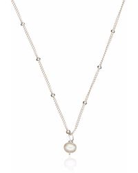 Lily & Roo - Sterling Single Pearl Necklace On Satellite Chain - Lyst