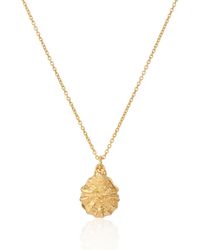 Auree - Gaia Vermeil Oyster Shell And Pearl Necklace - Lyst