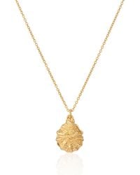 Auree - Gaia Vermeil Oyster Shell And Pearl Necklace - Lyst