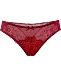 Carol Coelho - Ruby Nocturne Lace & Mesh Bikini Panty - Lyst