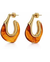 Hye Jane Jewelry - Gaia Tortoise Resin Hoop - Lyst