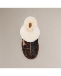 Australia Luxe - Closed Mule Slippers Dark Leopard - Lyst