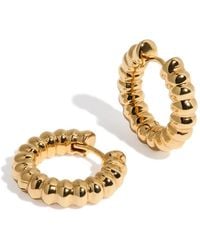 Stone Fruit - Rind Hoops - Lyst