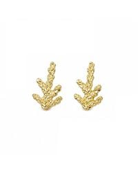 Mother Nature Jewelry - Minimalist Juniper Studs, Handmade Branch Earrings - Lyst