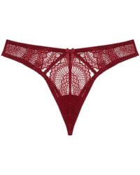 Journelle - Natalia String Thong Bordeaux - Lyst