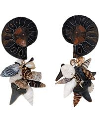 Oana Savu - Neutrals Sea Treasures Ammonite Shells Shark Teeth Fossils & One Of A Kind Earrings - Lyst