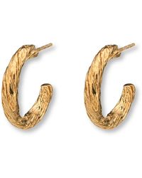EVA REMENYI - Archaic Small Hoop Earrings - Lyst