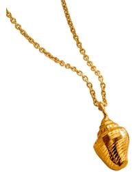 Posh Totty Designs - Plated Cone Shell Necklace - Lyst