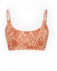 Befitnesslou - Bra Coral Snake Print - Lyst
