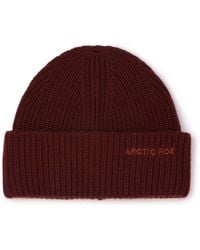 Arctic Fox & Co. - Embroidered Merino Wool Beanie - Lyst