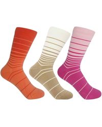 Peper Harow - Made in England - Retro Stripe Socks – Bundle - Lyst