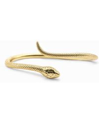 Miss Cecilia - The Serpent Bangle - Lyst
