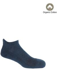 Peper Harow - Made in England - Organic Trainer Sport Socks Bundle – - Lyst