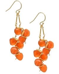 Lori Kaplan Design - Signature Carnelian Earrings - Lyst