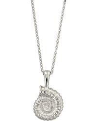 Dainty London - Dainty Ammonite Fossil Necklace - Lyst