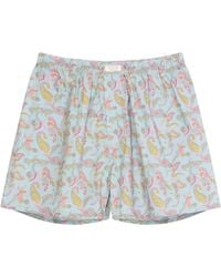 NoLoGo-chic - Paisley Print Boxers Boxer Short Cotton Dusty - Lyst