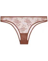 Journelle - Romy Bikini Pecan - Lyst