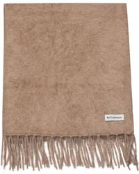 Bel Cashmere - Brushed Cashmere Scarf - Lyst