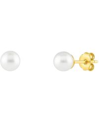 Spero London - 9Ct Solid Freshwater Pearl Stud Earrings - Lyst