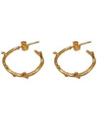 Les Reines - The Branchlet Petite - Lyst