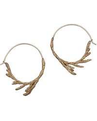 Zula Jewelry + Design - Sacred Cedar Hoop Earrings, Bronze - Lyst