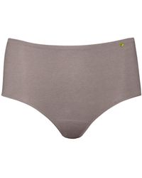 Zd - Zero Defects - Atenea High-Waist Brief – Stylisht Fit & Comfort With Soy Fiber - Lyst