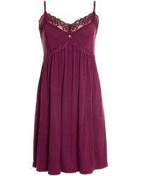 Pretty You London - Bamboo Lace Chemise Nightdress In Bordeaux - Lyst
