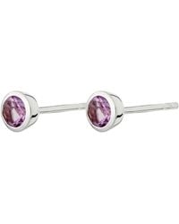 Lily Charmed - February Birthstone Earrings - Lyst
