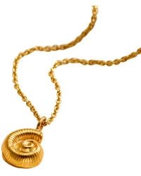Posh Totty Designs - Mini Nautilus Shell Necklace - Lyst