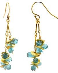 Lori Kaplan Design - Aqua Apatite Earrings - Lyst